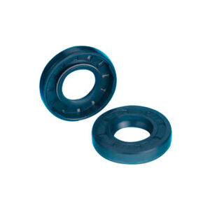 Standard Rotary Seals Type C