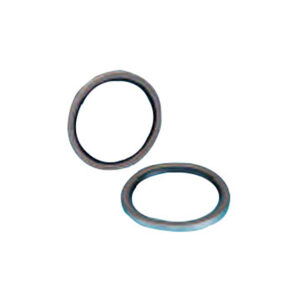 Standard Rotary Seals