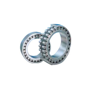 Double Row Cylindrical Roller Bearings